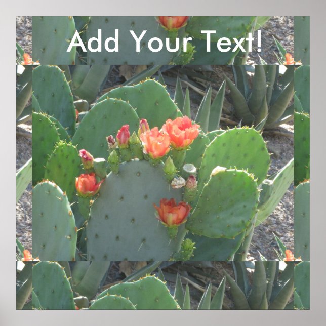 Póster Sangue Vermelho Verde de Cactus Preto (Frente)
