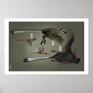 Póster Sansoriopterygids do tamanho da vida