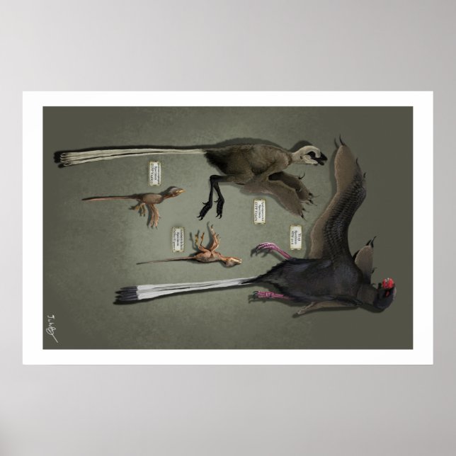 Póster Sansoriopterygids do tamanho da vida (Frente)