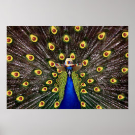 Poster Santa Guacamole Peacock