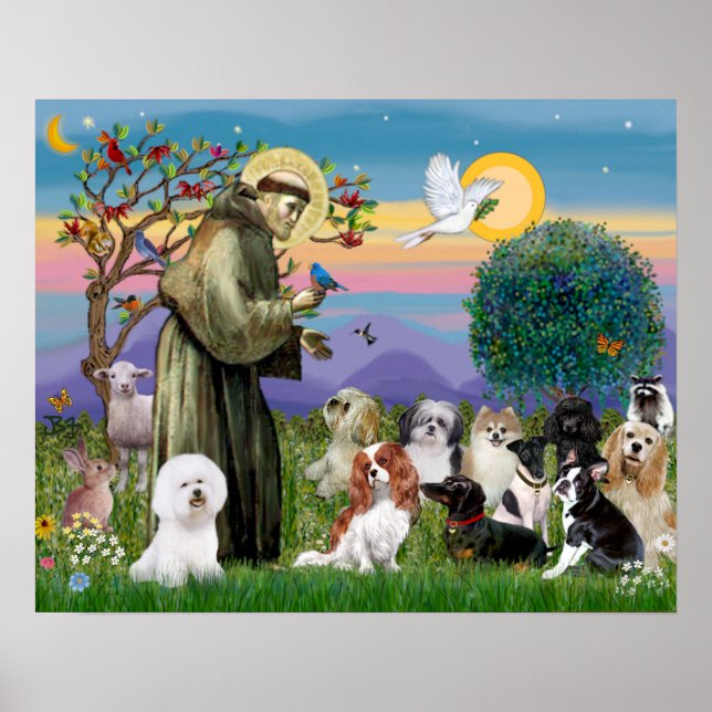 Poster Santo Francis com 10 Cães (Frente)