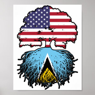 Poster Santo Lucia Santo Lucian American Tree Roots