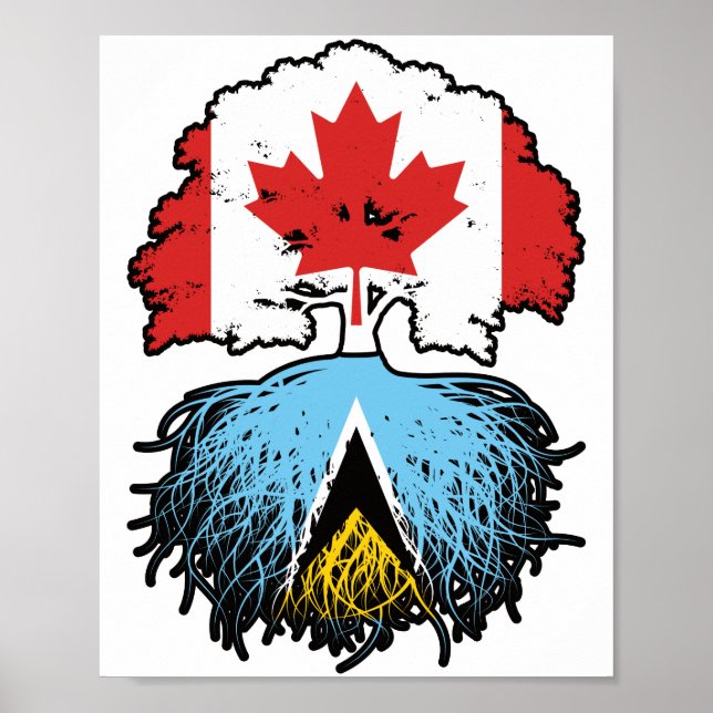 Poster Santo Lucia Santo Lucian Canada Tree Root (Frente)