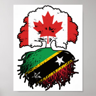 Poster Santos Kittitian Canada Tree Roots
