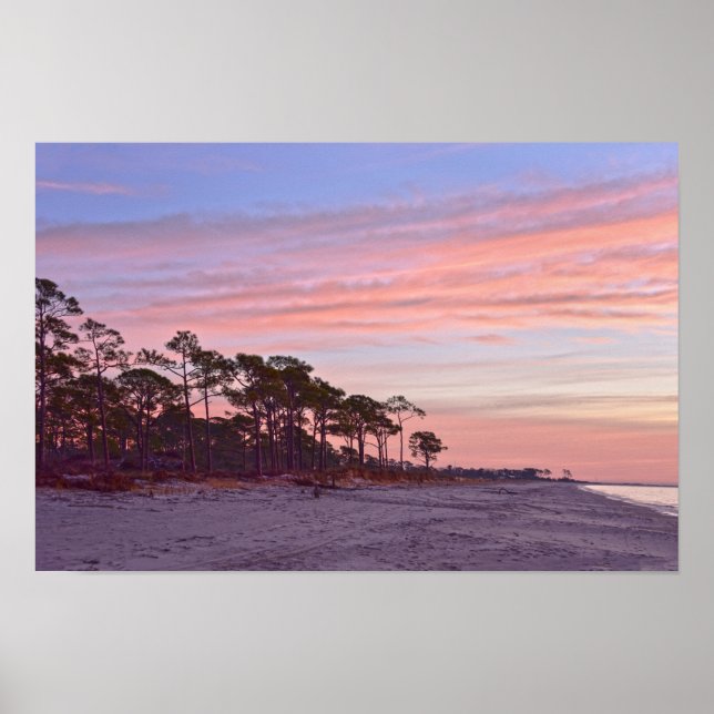 Poster Santuário de Pássaros Audubon Praia ao Amanhecer,  (Frente)