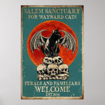 Santuário De Salem Para Gatos De Wayward, Gato De 