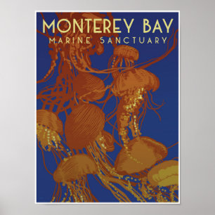 Poster Santuário Marinho da Baía de Monterey; medusa