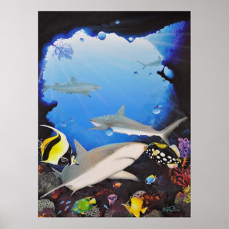 Póster santuaryoftheshark