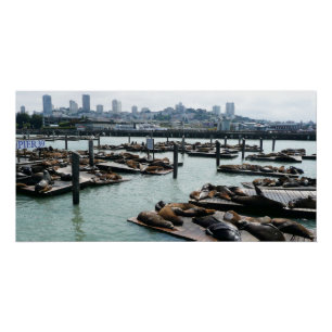 Póster São Francisco e Leões Marinhos do Pier 39 Silhueta