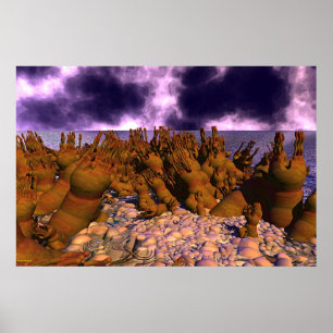 Póster Sapato de Polip