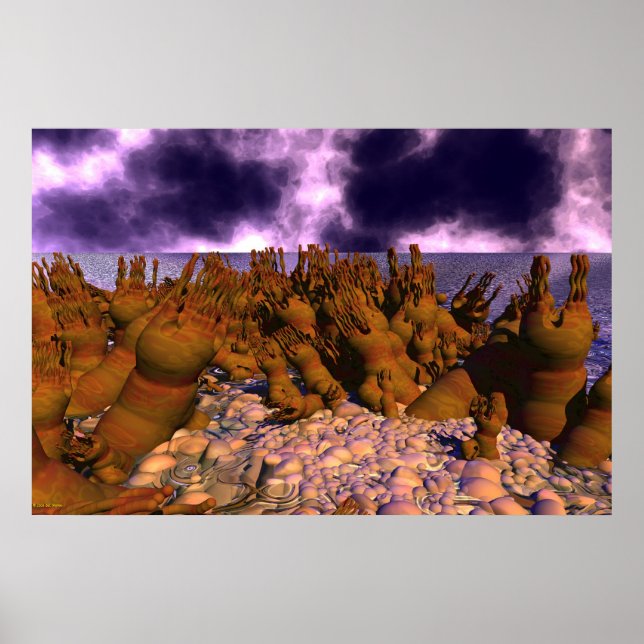 Póster Sapato de Polip (Frente)