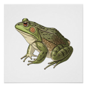 Póster Sapo