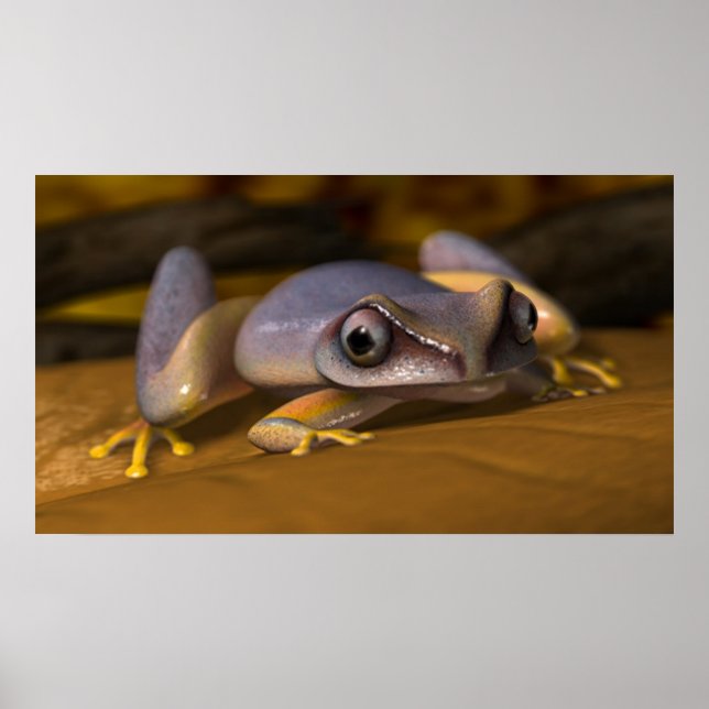 Poster Sapo (Frente)