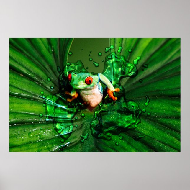 PÓSTER SAPO 4 (Frente)