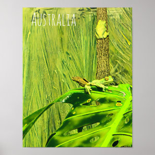 Poster Sapo australiano Sapo verde