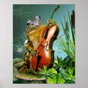 Poster Sapo cómico da cena que joga o violoncelo na lago