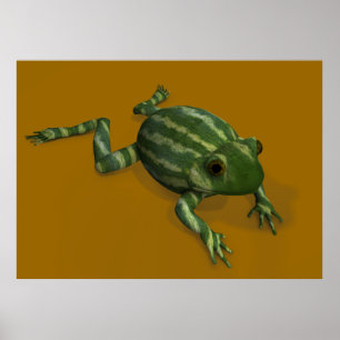 Póster Sapo da melancia