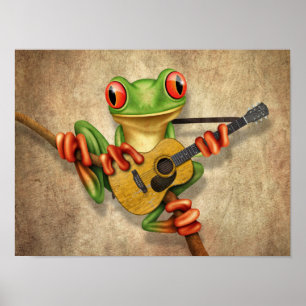 Poster Sapo de Árvore Bonita Tocando Violão Acústico