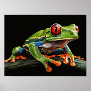 Poster Sapo de árvore de olhos vermelhos