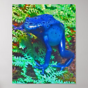 Poster Sapo de Dart Blue Poison