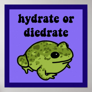 Poster Sapo De Hidratação Ou Diedrato