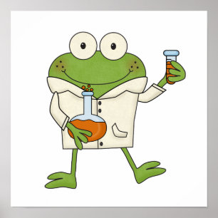 Póster Sapo de laboratório
