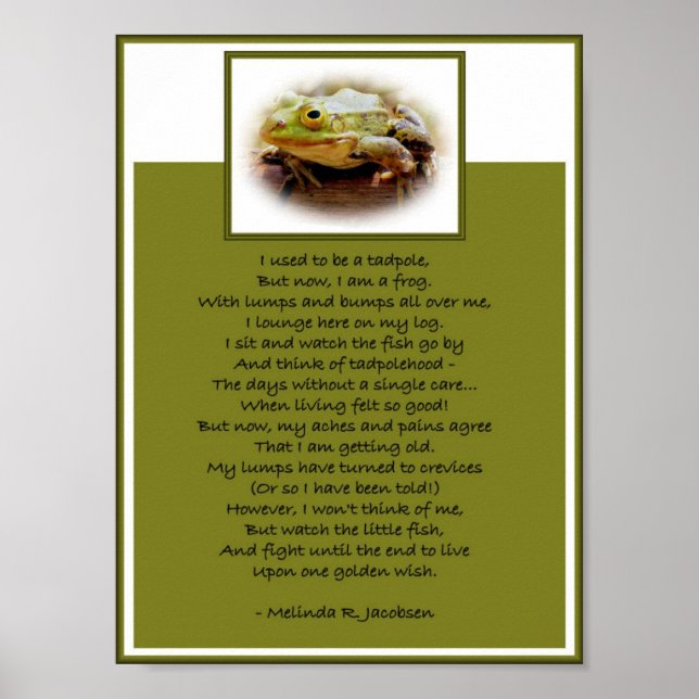 Póster Sapo Em Um Log (Frente)