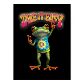 Póster Sapo Hippie Relaxe Diversão Colorida