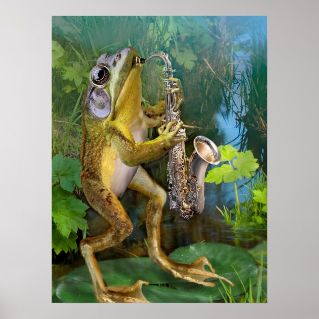 Póster Sapo Humorístico Jogando Saxofone (Frente)