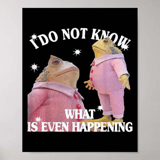 Poster Sapo Não Sei O Que Está Acontecendo (Frente)