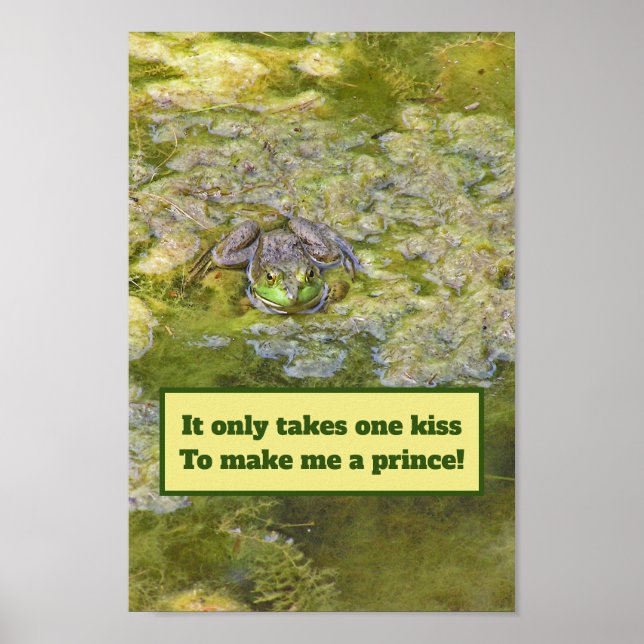 POSTER sapo/SÓ PRECISA DE UM BEIJO PARA ME TRANSFO (Frente)