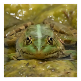 Póster Sapo Verde Camuflado Contra A Cama Do Rio Atacado