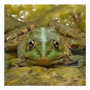 Póster Sapo Verde Camuflado Contra A Cama Do Rio Atacado