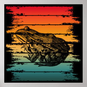 Poster Sapo VINTAGE