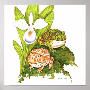 Poster Sapos com ornamentado