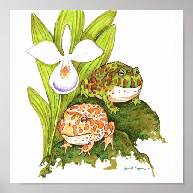 Poster Sapos com ornamentado (Frente)