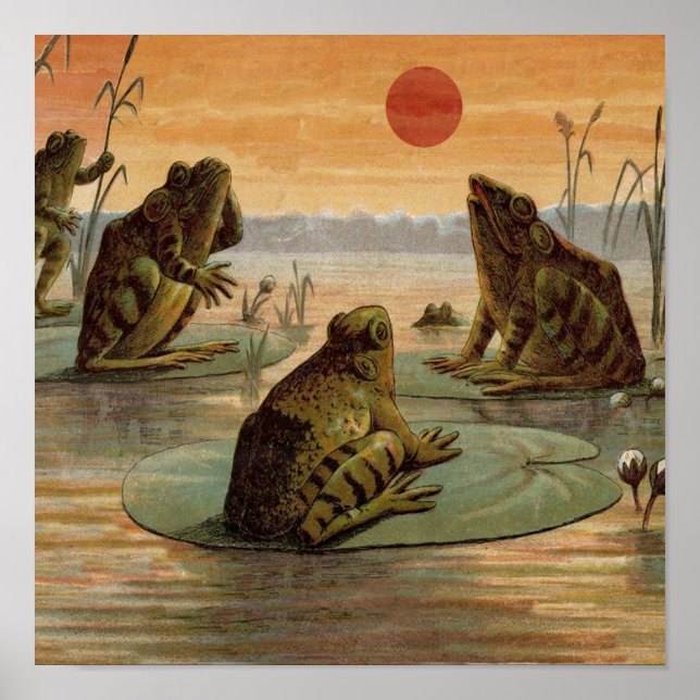 Póster Sapos Lily Pads Ilustração da Lua (Frente)