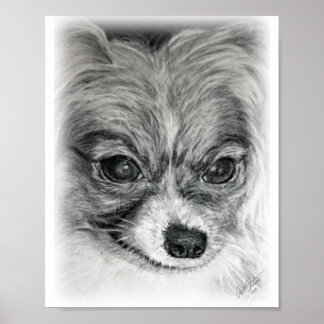 Póster Sara Drawing