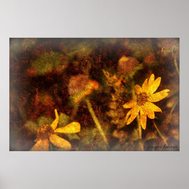 Póster Sarah (Frente)