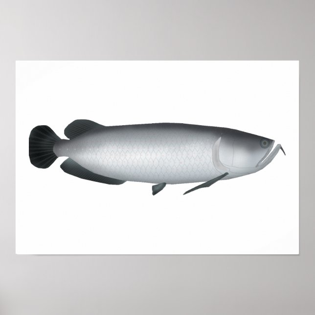 Poster Saratoga do Sul (Frente)