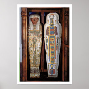 Póster Sarcófago egípcio coberto com os hieroglyphics (