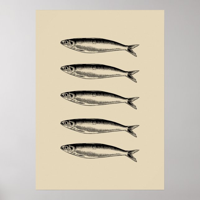 Poster Sardinha (Frente)