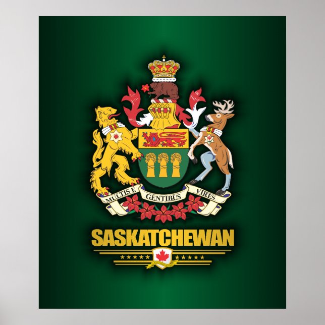Poster Saskatchewan COA (Frente)