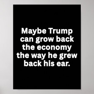 Poster Sátira Anti-Trump Engraçado Sarcástico Sátira de H