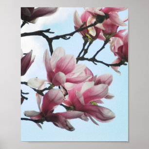 Poster Saucer Magnolia Tulipas Flores Brancas Rosa