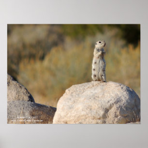 Poster Saudações Amigáveis