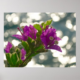 Poster Saudações da Temporada Flores de Primavera Bokeh