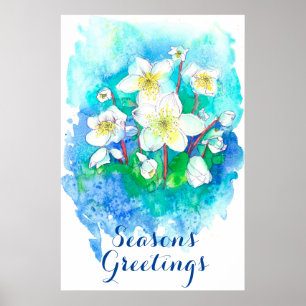 Poster Saudações da temporada Hellebore Flowers de Natal