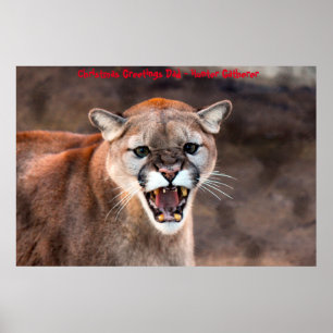 Poster Saudações de Natal Pai Caçador Coletor