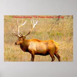 Poster Saudações de Natal para o Caçador Coletor na minha